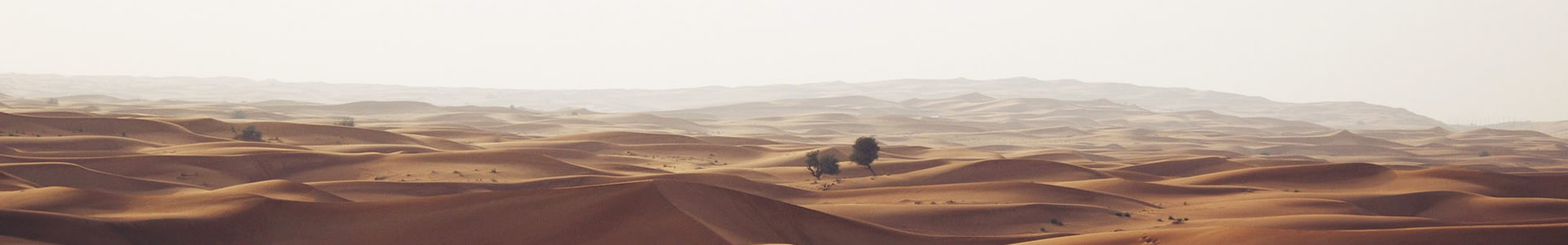 Ĵó޹˾